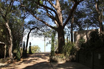 Arabella Guesthouse - Accommodation Noosa 46