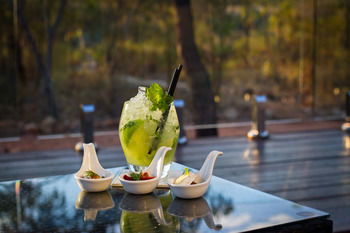 Cicada Lodge - Accommodation Noosa 7