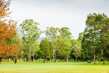 Retreat At Wisemans - Accommodation Noosa 17