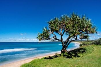 North Coast Holiday Park Corindi Beach - Accommodation Noosa 16