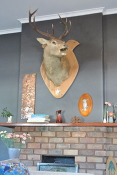Vine Valley Inn - Accommodation Noosa 49