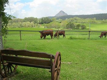 Blackwattle Farm B&B And Farm Stay - Accommodation Noosa 1