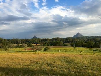 Blackwattle Farm B&B And Farm Stay - Accommodation Noosa 3