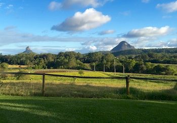 Blackwattle Farm B&B And Farm Stay - Accommodation Noosa 7