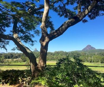 Blackwattle Farm B&B And Farm Stay - Accommodation Noosa 9