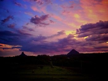 Blackwattle Farm B&B And Farm Stay - Accommodation Noosa 27