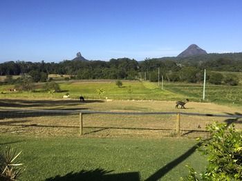 Blackwattle Farm B&B And Farm Stay - Accommodation Noosa 29