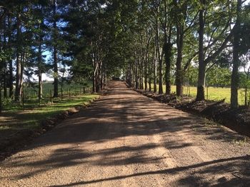 Blackwattle Farm B&B And Farm Stay - Accommodation Noosa 46