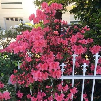 North Ryde Guest House - Accommodation Noosa 31