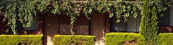 Nunawading Motor Inn - Accommodation Noosa 30
