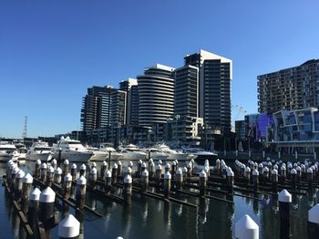 Apartments Melbourne Domain - Docklands - Accommodation Noosa 4