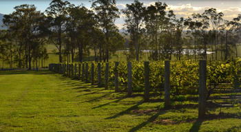 H Boutique Hotel - Accommodation Noosa 34