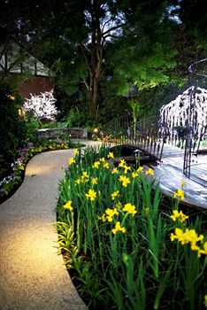 Elizabethan Lodge - Accommodation Noosa 2
