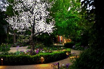 Elizabethan Lodge - Accommodation Noosa 4