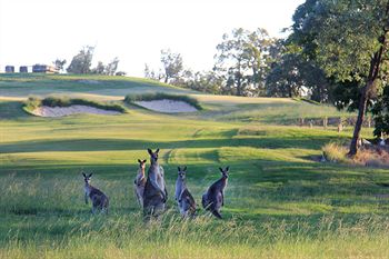 Riverside Oaks Golf Resort - Accommodation Noosa 1