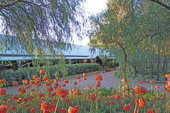 Casuarina Estate - Accommodation Noosa 49