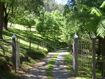 Brentwood Accommodation - Accommodation Noosa 1