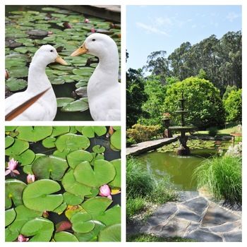 Brentwood Accommodation - Accommodation Noosa 65