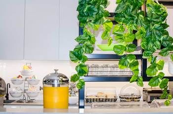 Ibis Budget Sydney East - Accommodation Noosa 29