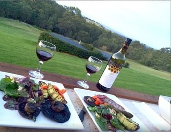 Wine Country Villas - Accommodation Noosa 30