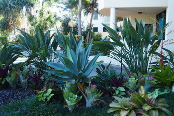 Mirra Chana - Accommodation Noosa 12