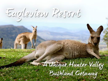 Eagleview Resort - Accommodation Noosa 45