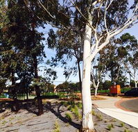 Box Hill Studios at Canterbury Gardens - Accommodation Noosa