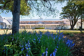 The Hydro Majestic Hotel - Accommodation Noosa 57