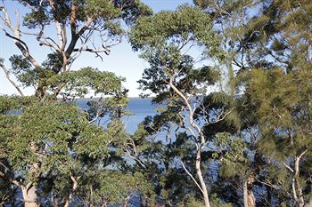 The Edgewater Bed & Breakfast - Accommodation Noosa 0
