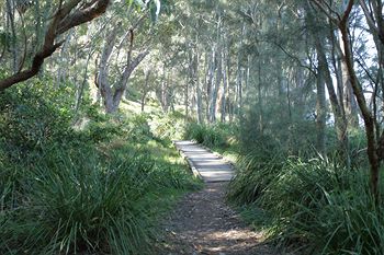 The Edgewater Bed & Breakfast - Accommodation Noosa 21