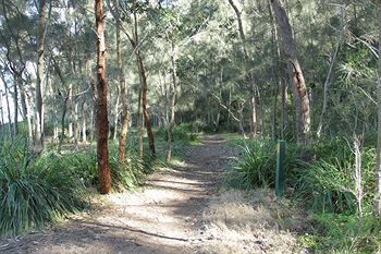 The Edgewater Bed & Breakfast - Accommodation Noosa 22