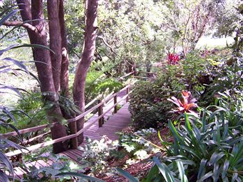 The Falls Montville - Accommodation Noosa 3