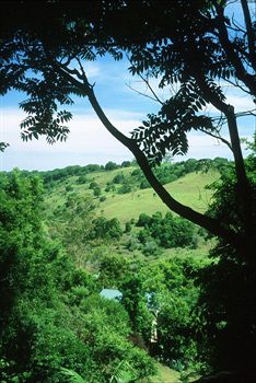 The Falls Montville - Accommodation Noosa 5