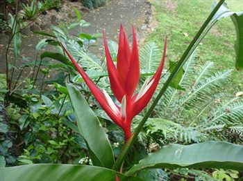 The Falls Montville - Accommodation Noosa 10