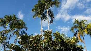 Ibis Styles Katherine - Accommodation Noosa 17