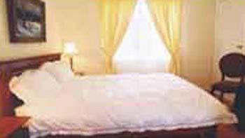 Bluebell Bed & Breakfast - Accommodation Noosa 5