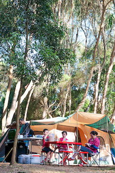 BIG4 Yarra Valley Holiday Park - Accommodation Noosa 8