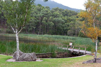 BIG4 Yarra Valley Holiday Park - Accommodation Noosa 12
