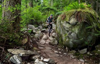 Mountain Element Retreats - Accommodation Noosa 9