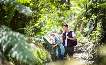 Mountain Element Retreats - Accommodation Noosa 10