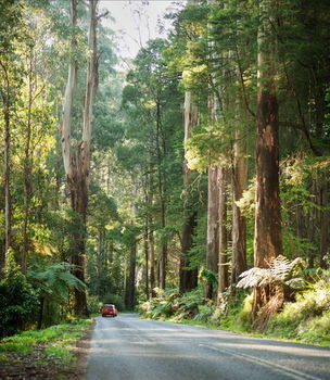 Mountain Element Retreats - Accommodation Noosa 15