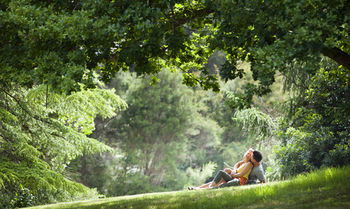 Mountain Element Retreats - Accommodation Noosa 16