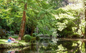 Mountain Element Retreats - Accommodation Noosa 17