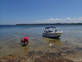 Dungowan Waterfront Apartments - Accommodation Noosa 39