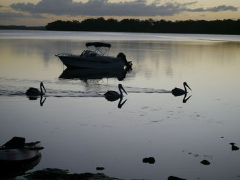 Dungowan Waterfront Apartments - Accommodation Noosa 143