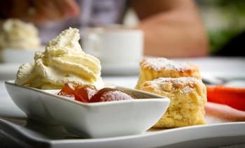 Riverwood Downs Mountain Valley Resort - Accommodation Noosa 1