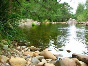 Riverwood Downs Mountain Valley Resort - Accommodation Noosa 9