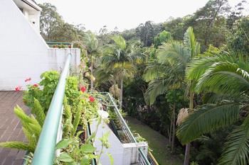 Palm Court Noosa - Accommodation Noosa 7