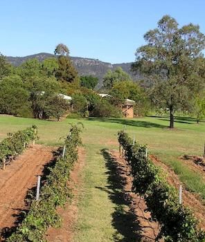 Forrest Hills Ridge - Accommodation Noosa 2
