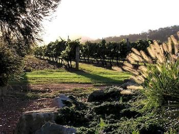 Forrest Hills Ridge - Accommodation Noosa 3